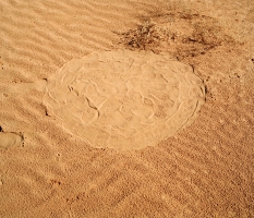 sand.nike_.web_